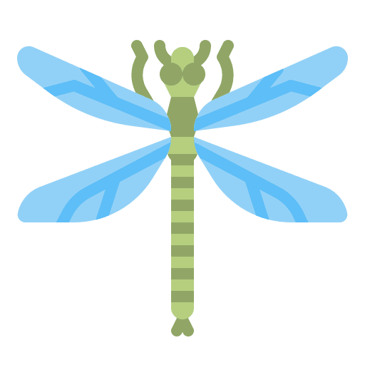 Dragon fly zoology dragon fly entomology icon Dragon fly zoology dragon fly entomology icon