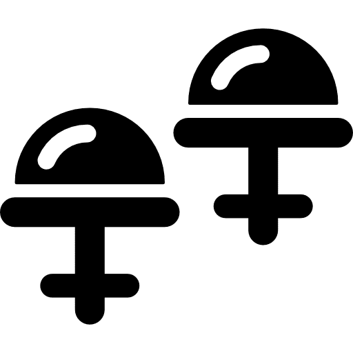 Earrings accessory elegant femenine icon