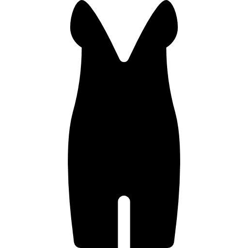 Neckline dress femenine clothing garment icon