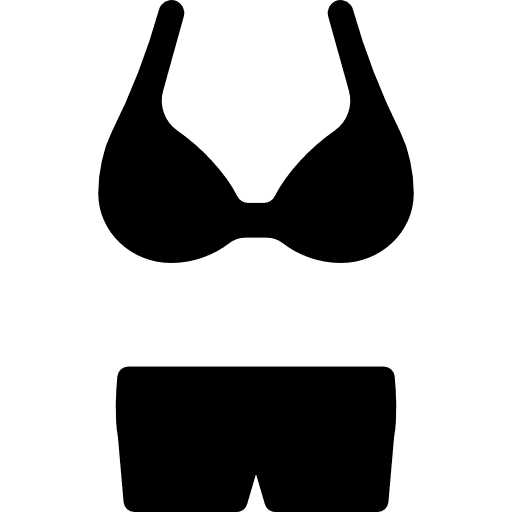 Lingerie fashion panties femenine icon