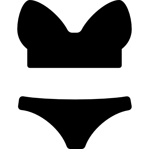 Lingerine clothing femenine panties icon