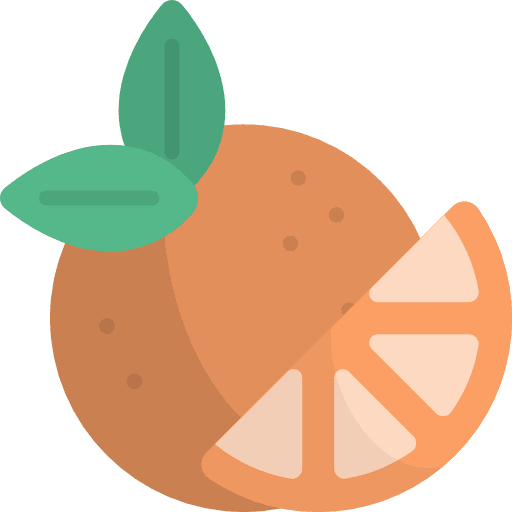 Orange vegetarian organic vegan icon Orange vegetarian organic vegan icon