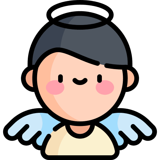 Angel wing fly holy icon