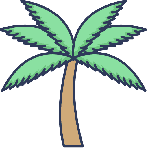 Palm tree coconut plant palm tree icon