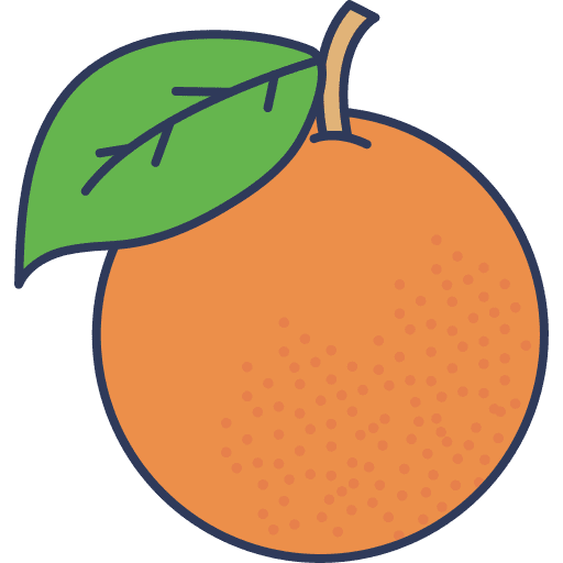 Orange orange citrus food and restaurant icon