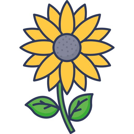 Sunflower sunflower nature blossom icon
