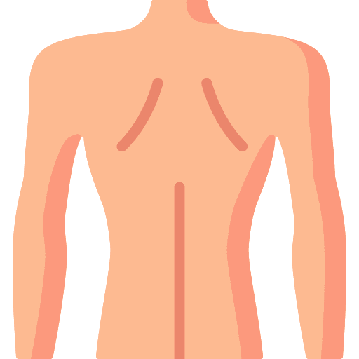 Back anatomy back parts icon