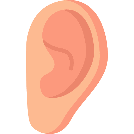 Ear anatomy healthcare and medical parts icon