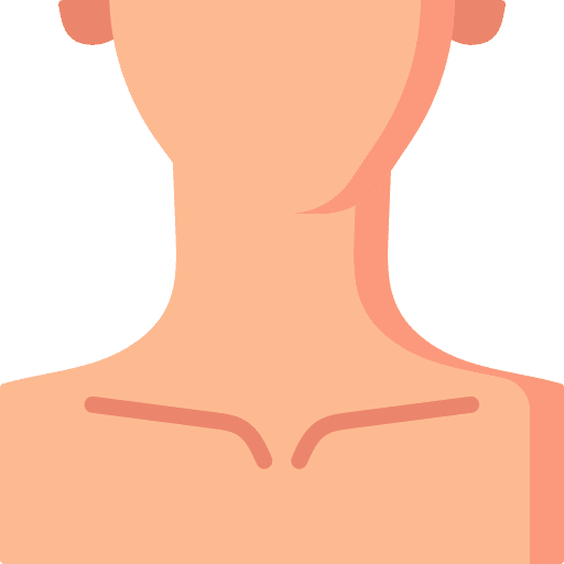 Neck parts anatomy human icon