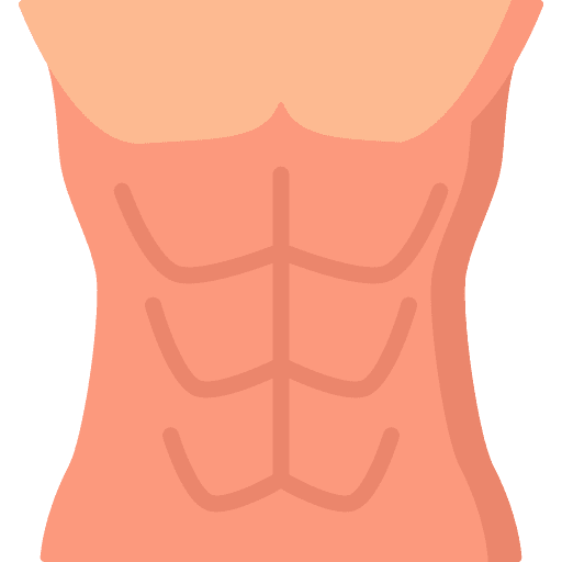Abs abdomen gym body icon