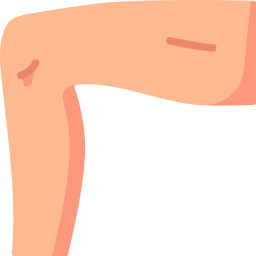 Leg parts healthcare and medical human icon Leg parts healthcare and medical human icon