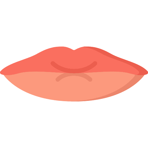 Lips lips parts human icon Lips lips parts human icon