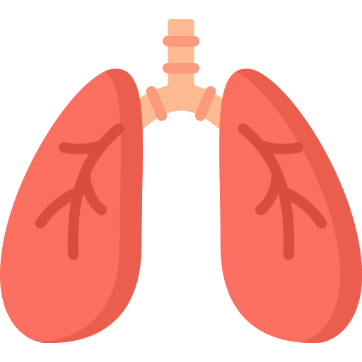 Lungs anatomy body organ icon Lungs anatomy body organ icon