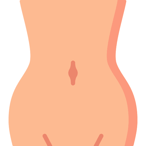 Navel anatomy human healthcare and medical icon Navel anatomy human healthcare and medical icon