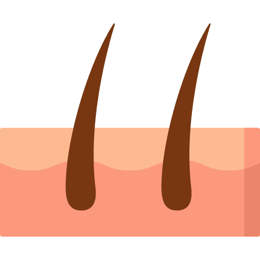 Skin parts healthcare and medical head icon Skin parts healthcare and medical head icon