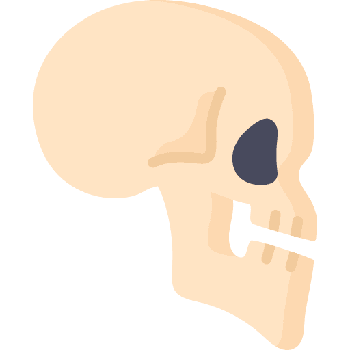 Skull parts body anatomy icon Skull parts body anatomy icon