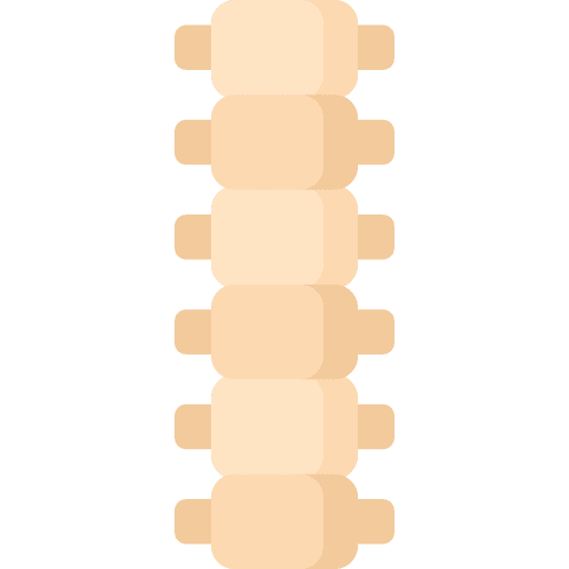 Spine body bone column icon Spine body bone column icon