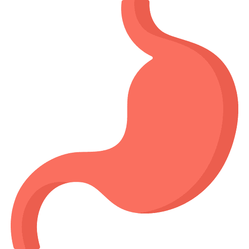 Stomach human parts healthcare and medical icon Stomach human parts healthcare and medical icon