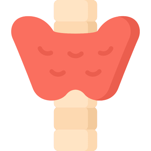 Thyroid anatomy organ human icon