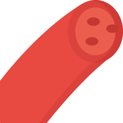 Blood body vessel human icon Blood body vessel human icon