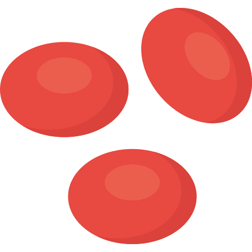 Blood cell healthcare and medical body icon Blood cell healthcare and medical body icon