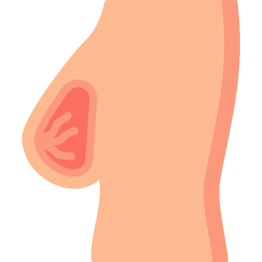 Breast breasts body anatomy icon Breast breasts body anatomy icon