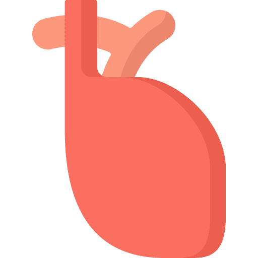 Heart heart healthcare and medical body icon Heart heart healthcare and medical body icon