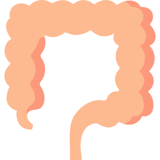 Intestine anatomy body organ icon Intestine anatomy body organ icon