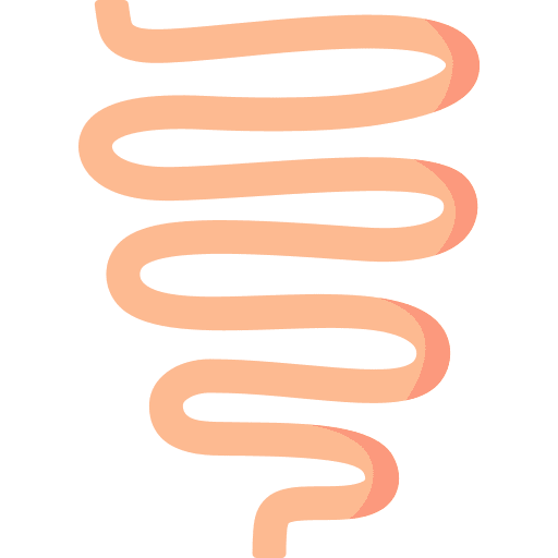 Intestine anatomy small internal organ icon Intestine anatomy small internal organ icon