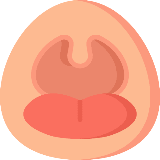 Throat throat parts healthcare and medical icon Throat throat parts healthcare and medical icon