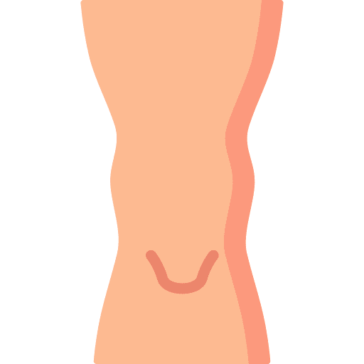 Knee anatomy parts human icon Knee anatomy parts human icon