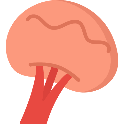 Spleen body human internal organ icon Spleen body human internal organ icon