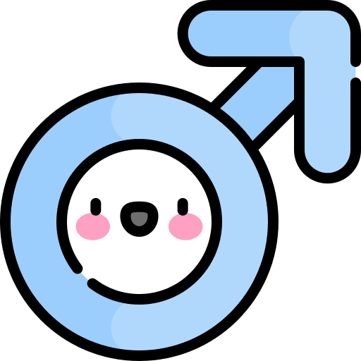 Boy gender fluid boy shapes and symbols icon Boy gender fluid boy shapes and symbols icon