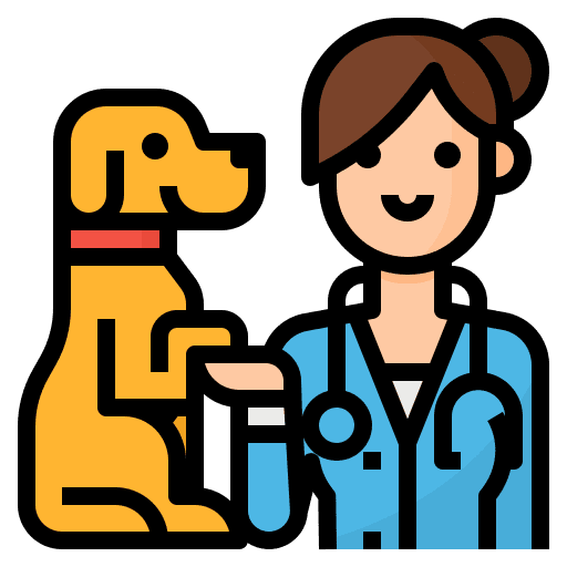 Veterinarian people veterinarian profession icon