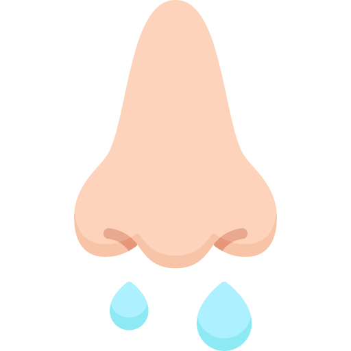 Runny nose healthcare and medical allergy sick icon Runny nose healthcare and medical allergy sick icon