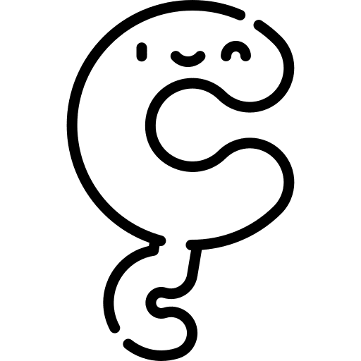 C consonant capital letter education icon