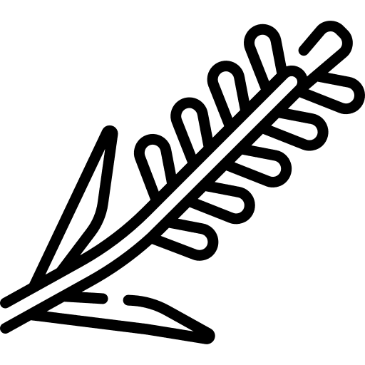 Lavender blossom nature petals icon