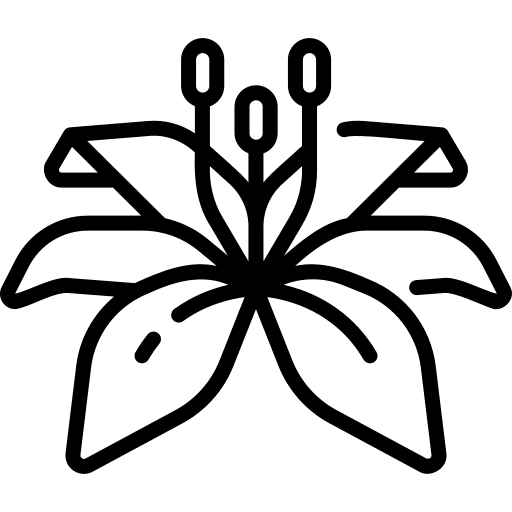 Lily nature plant flowers icon