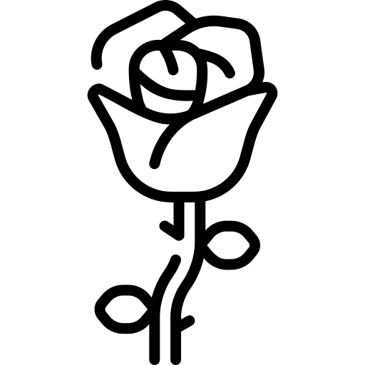 Rose botanical nature blossom icon