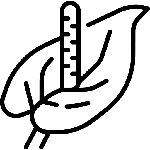 Anthurium petals nature botanical icon