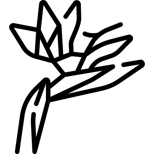 Bird of paradise petals flowers nature icon Bird of paradise petals flowers nature icon