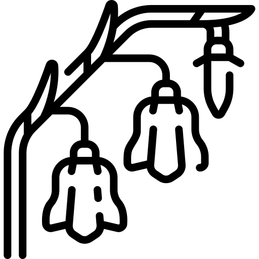 Bluebell bluebell blossom botanical icon