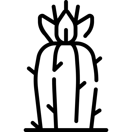 Cactus cactus flower dry icon