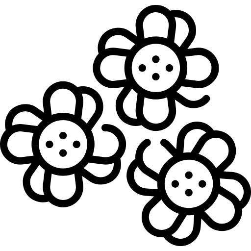 Chamomile plant flowers nature icon Chamomile plant flowers nature icon