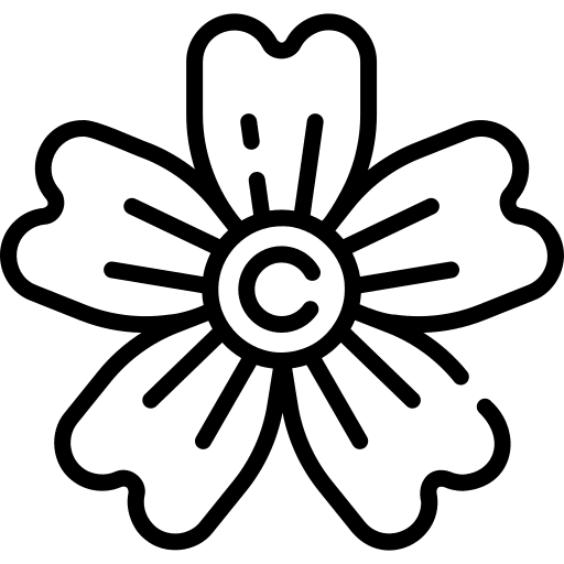 Cherry blossom flowers cherry blossom nature icon Cherry blossom flowers cherry blossom nature icon