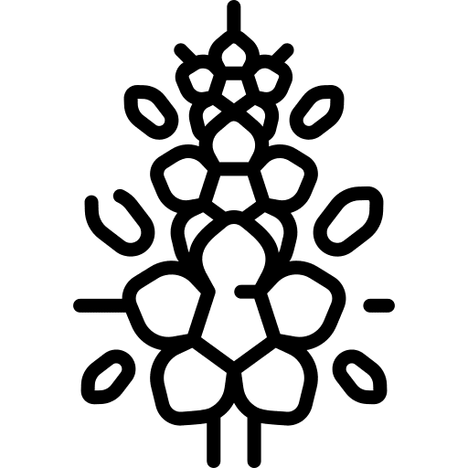 Delphinium nature plant petals icon Delphinium nature plant petals icon