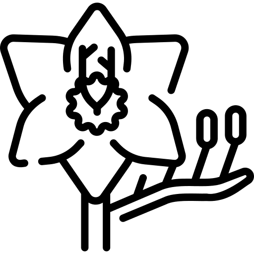 Freesia blossom freesia flowers icon Freesia blossom freesia flowers icon