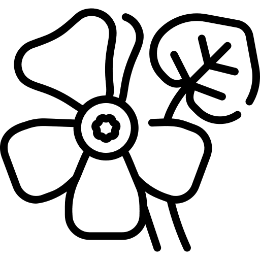 Geranium geranium blossom plant icon Geranium geranium blossom plant icon