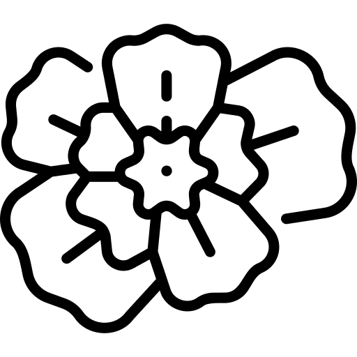 Mint marigold mint marigold flowers petals icon