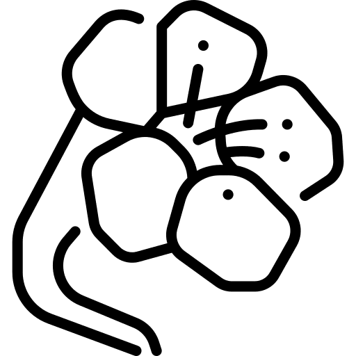 Nasturtium botanical petals flowers icon Nasturtium botanical petals flowers icon